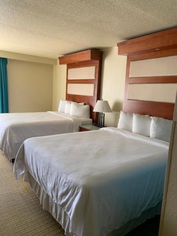 Hotel Waterfront & 3*