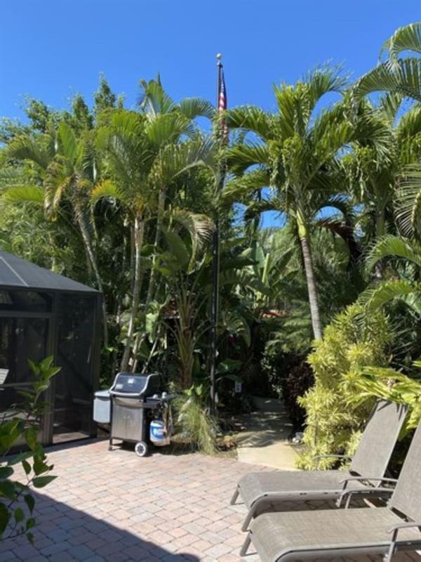 Tropical Of 3*