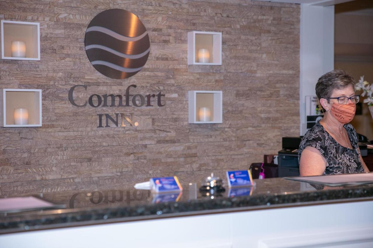 Comfort Oceanside Deerfield Deerfield Beach
