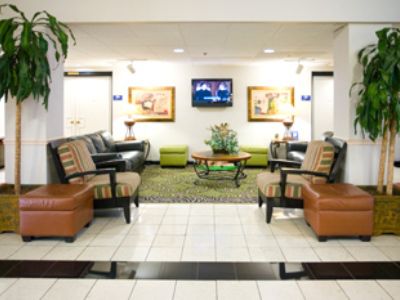 Baymont By Wyndham Near Busch Gardens Tampa