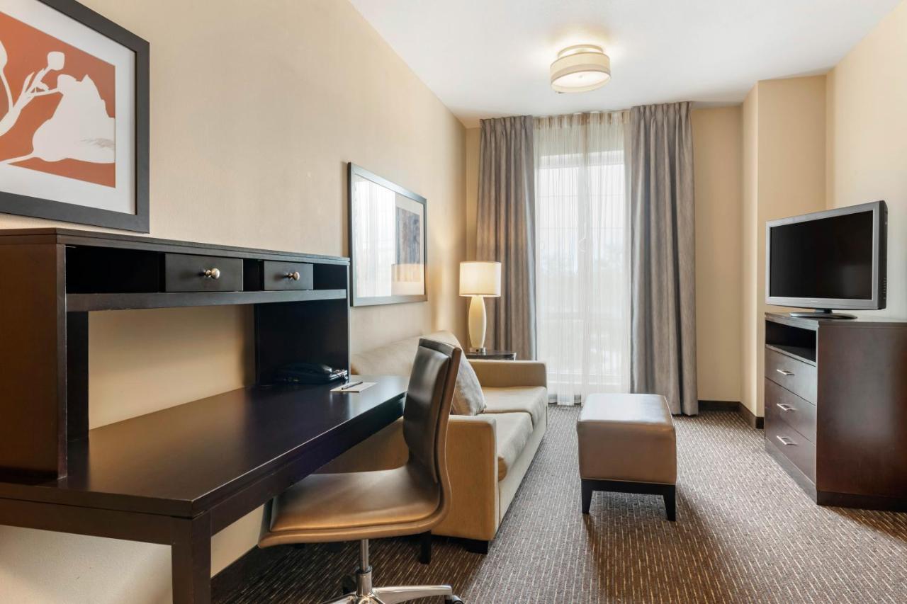 Hotel Staybridge Fl By Ihg St. Petersburg