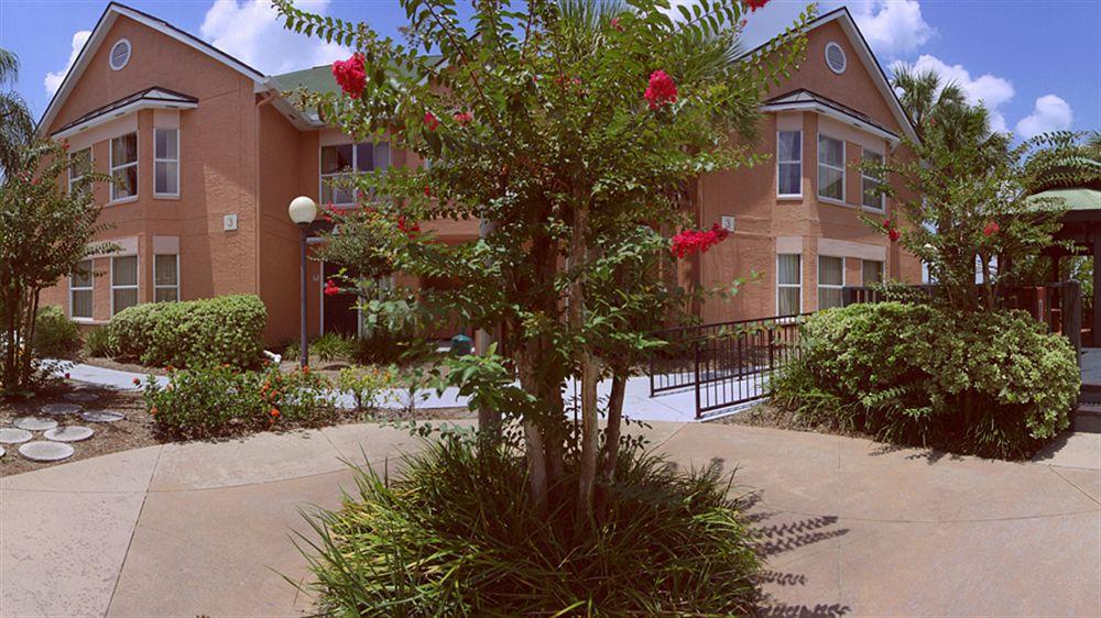 The Palms And Villa