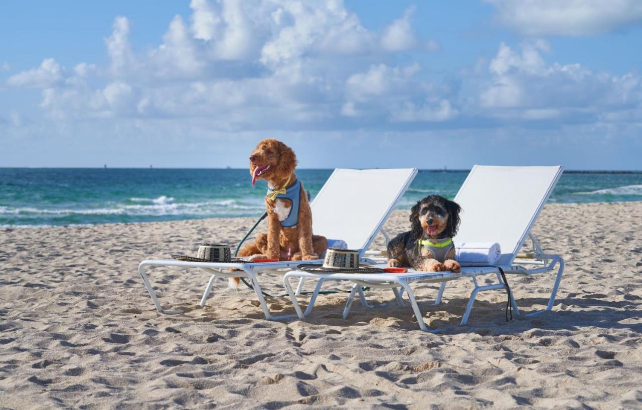 Hotel The Balfour Miami Beach