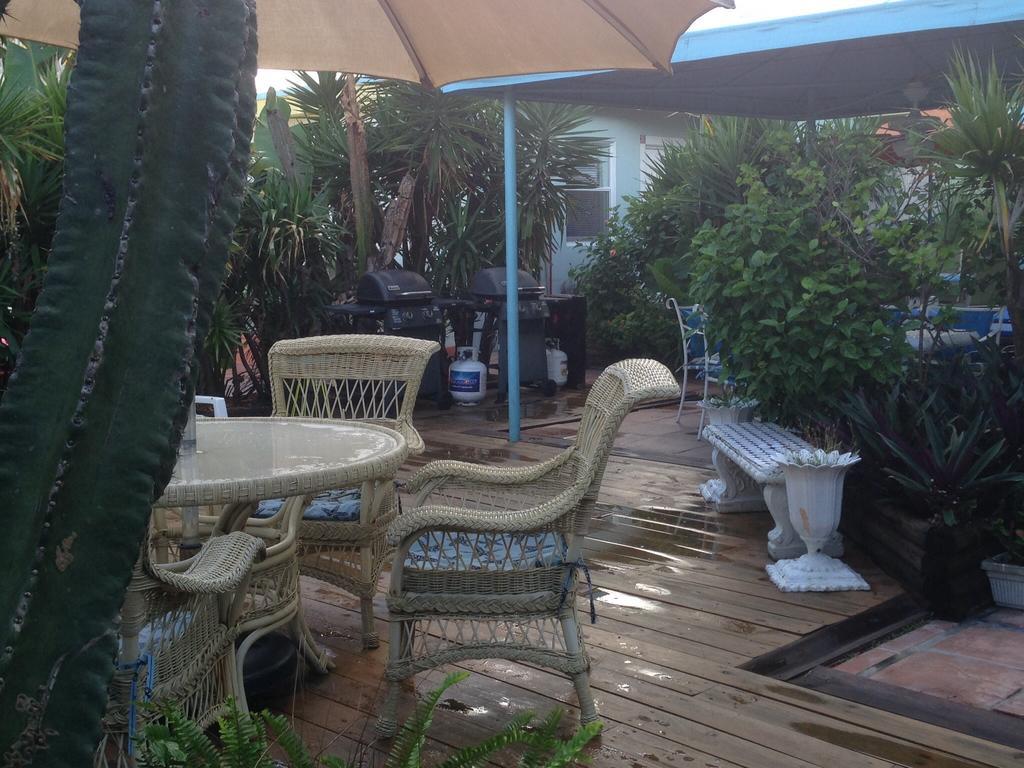 Angelfish Hotel Hollywood