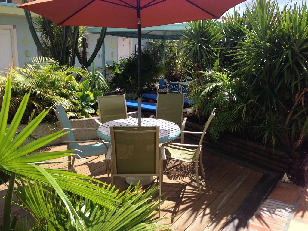 Angelfish 2* Hollywood