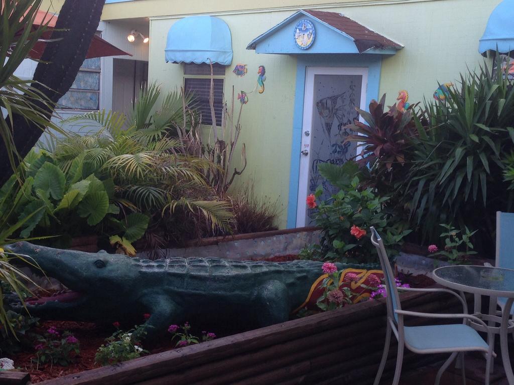 Hotel Angelfish