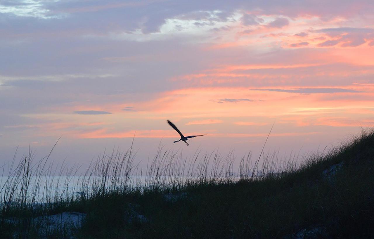 Summit 913, 1 Bedroom, Sleeps 6, Beachfront, Wi-fi, Pool Apartment *