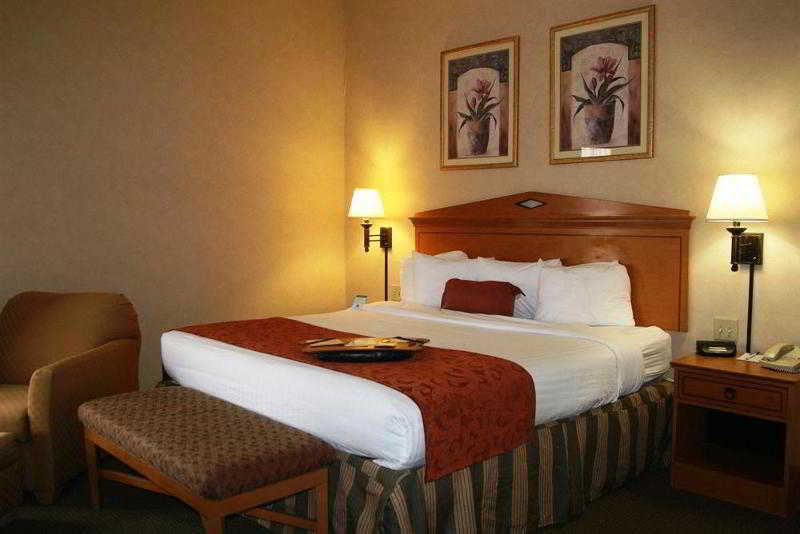 Oasis Hotel 3*