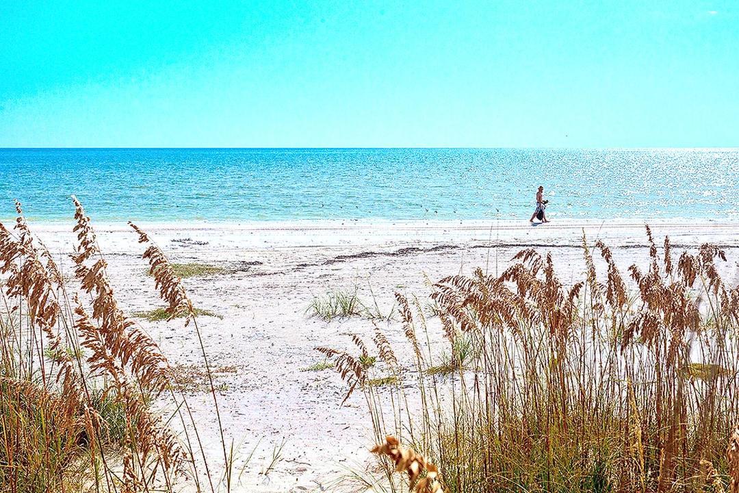 Apartment Castle 105, Gulf Front, 2 Bedrooms, , Elevator, Sleeps 6, Heated Pool
