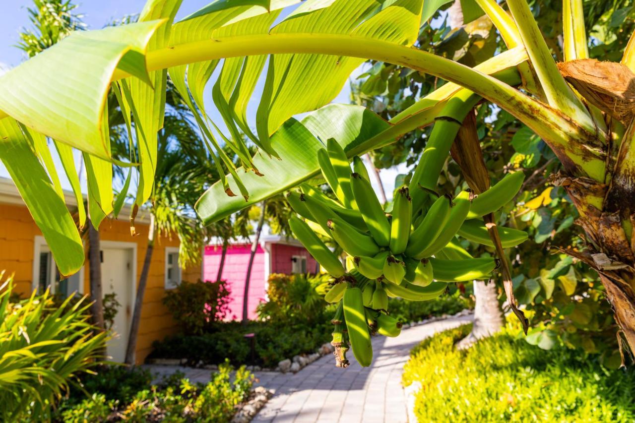 La Siesta & 4* Islamorada
