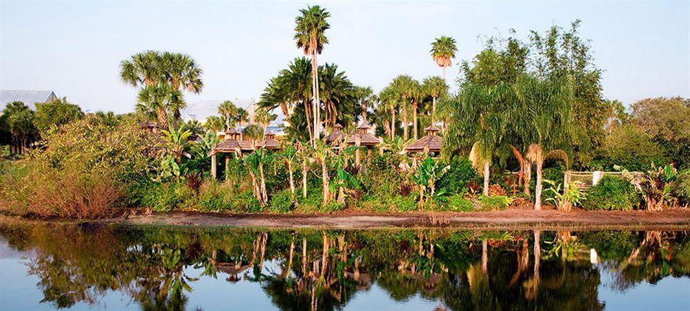 Disney's Caribbean 3*