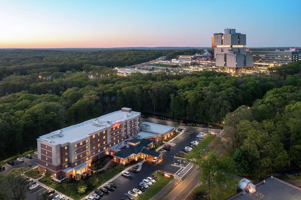Hotel Hilton Garden East Brandon