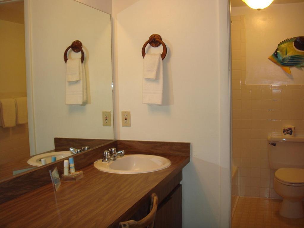 Hotel Shell