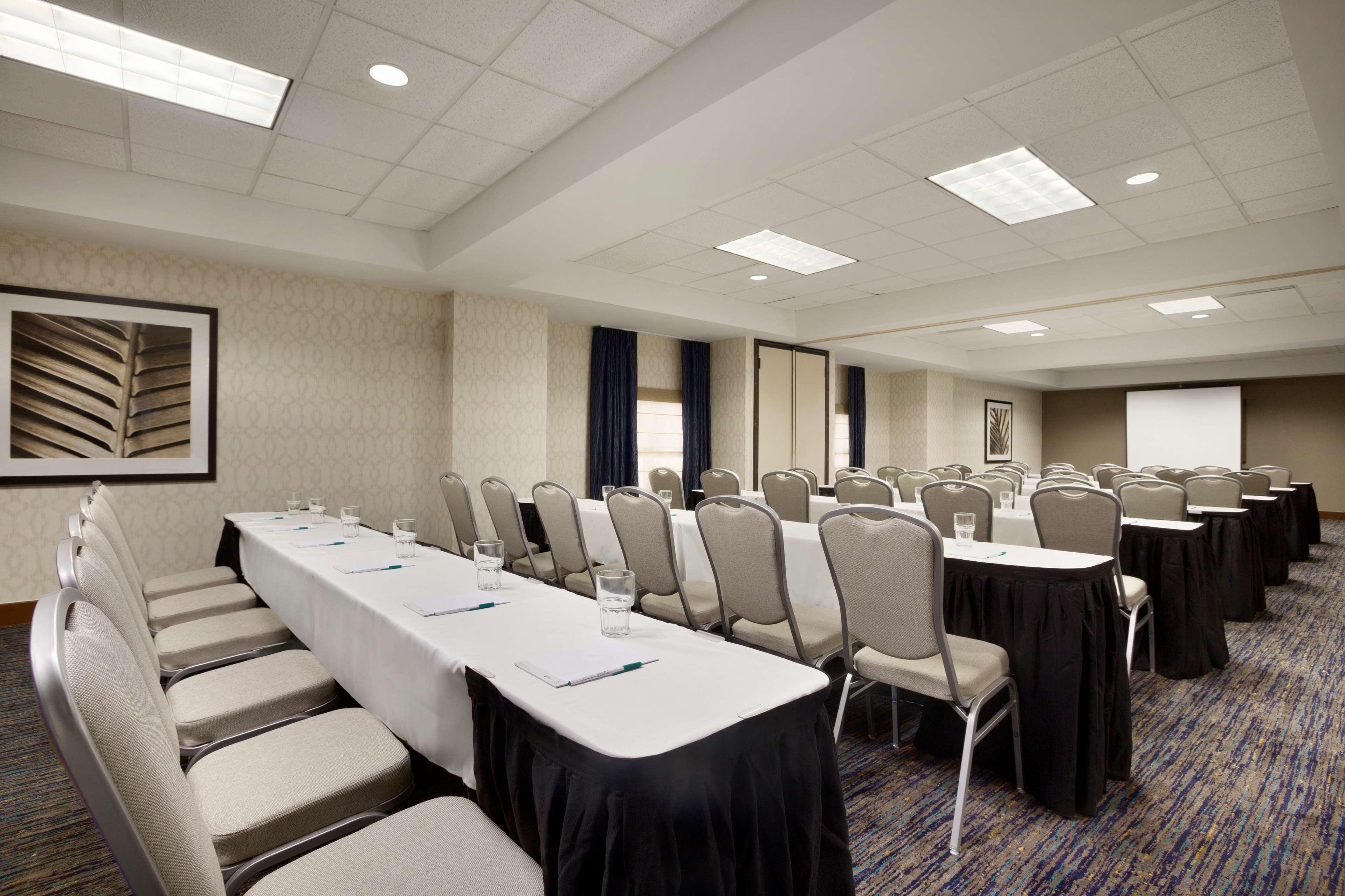 Homewood By Hilton Orlando-intl Drive/convention Ctr Hotel Williamsburg