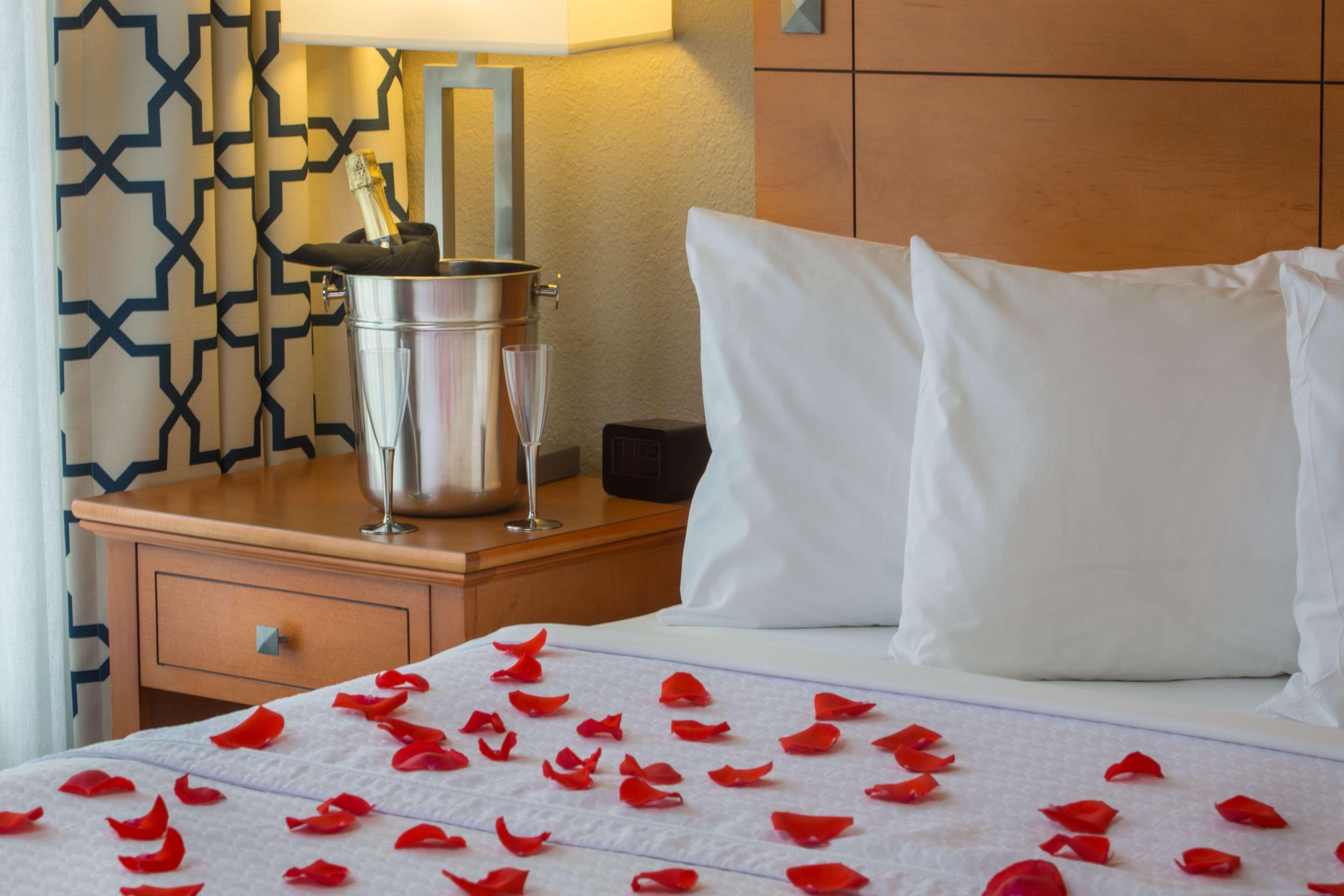 Homewood By Hilton Orlando-intl Drive/convention Ctr