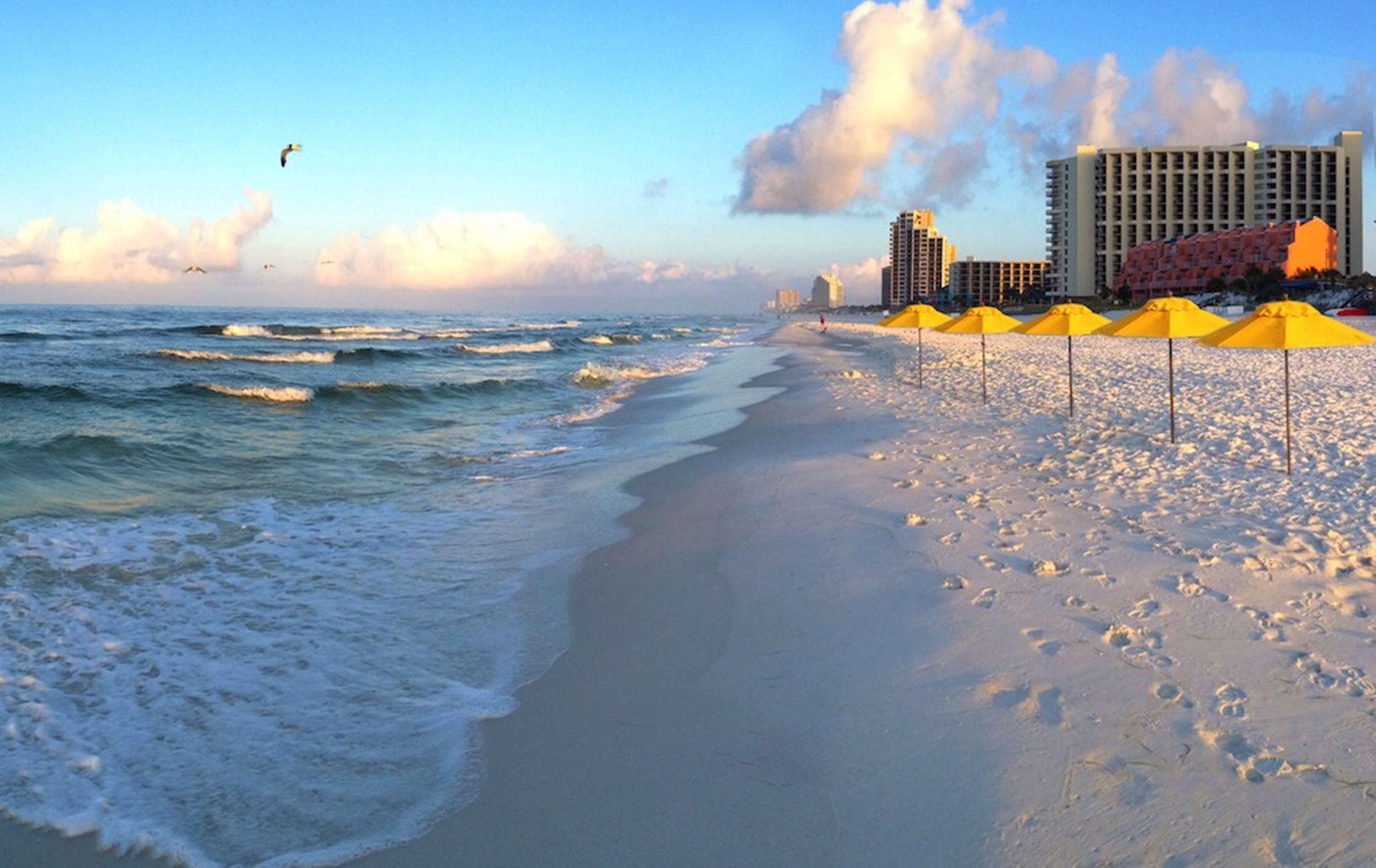 Hilton Sandestin Golf &