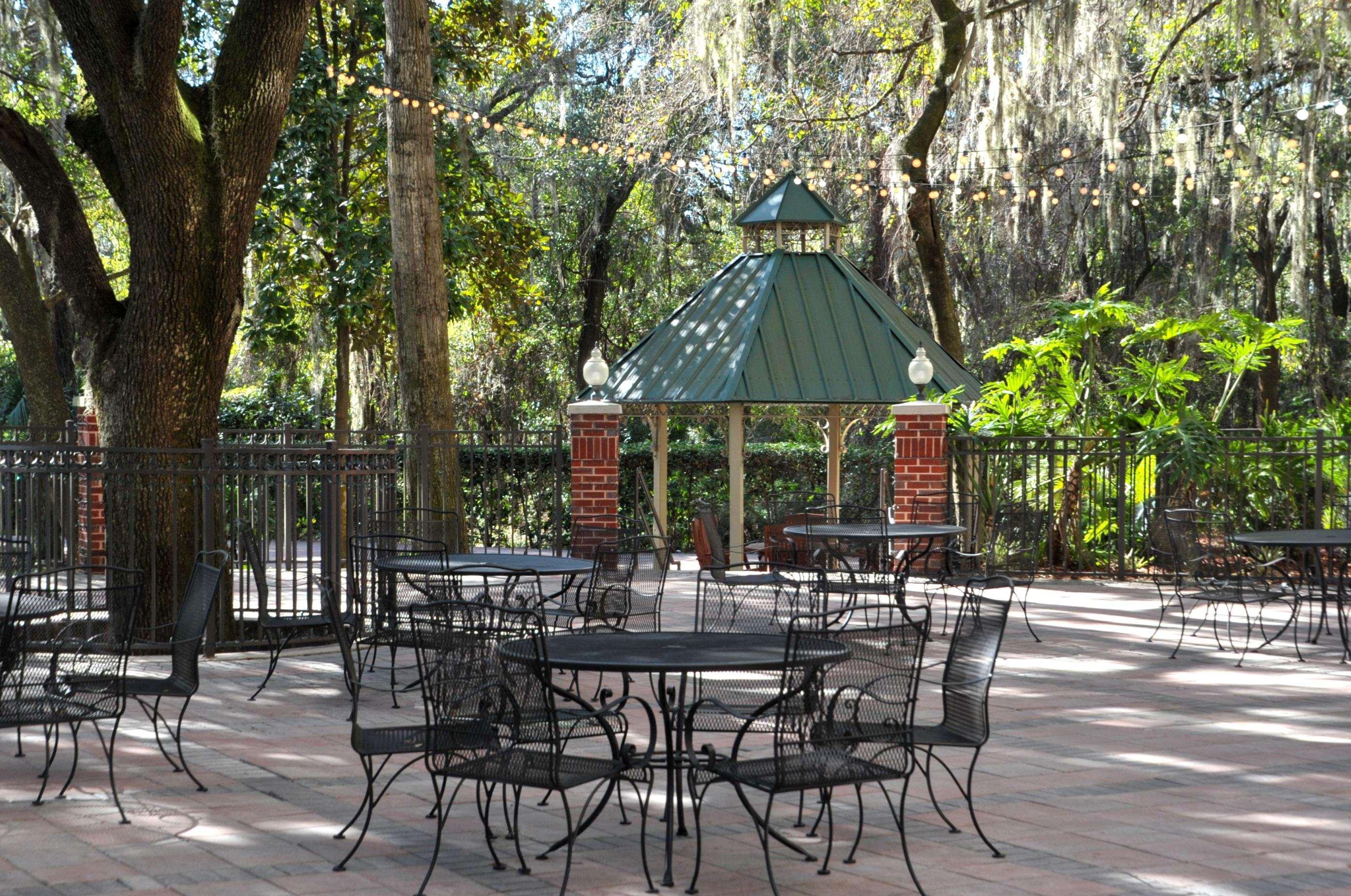 Hilton Garden East Brandon 3* Tampa