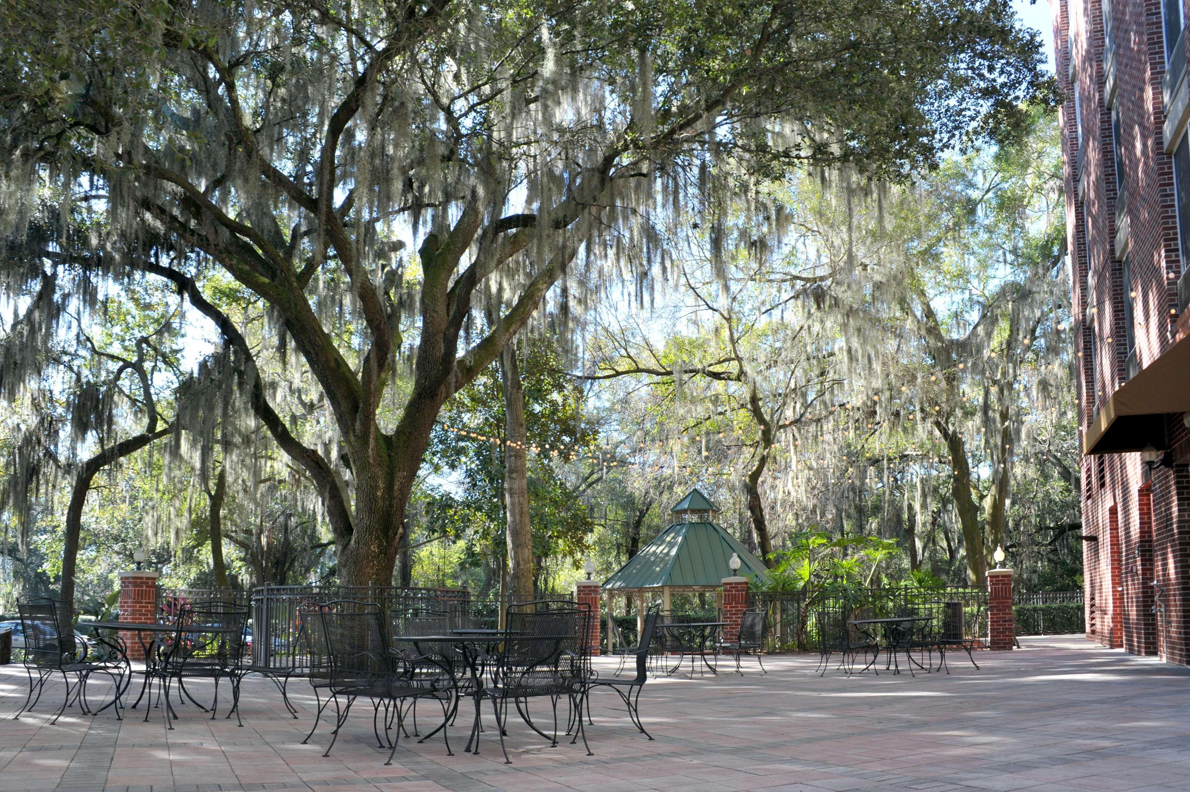 Hilton Garden East Brandon Hotel Tampa
