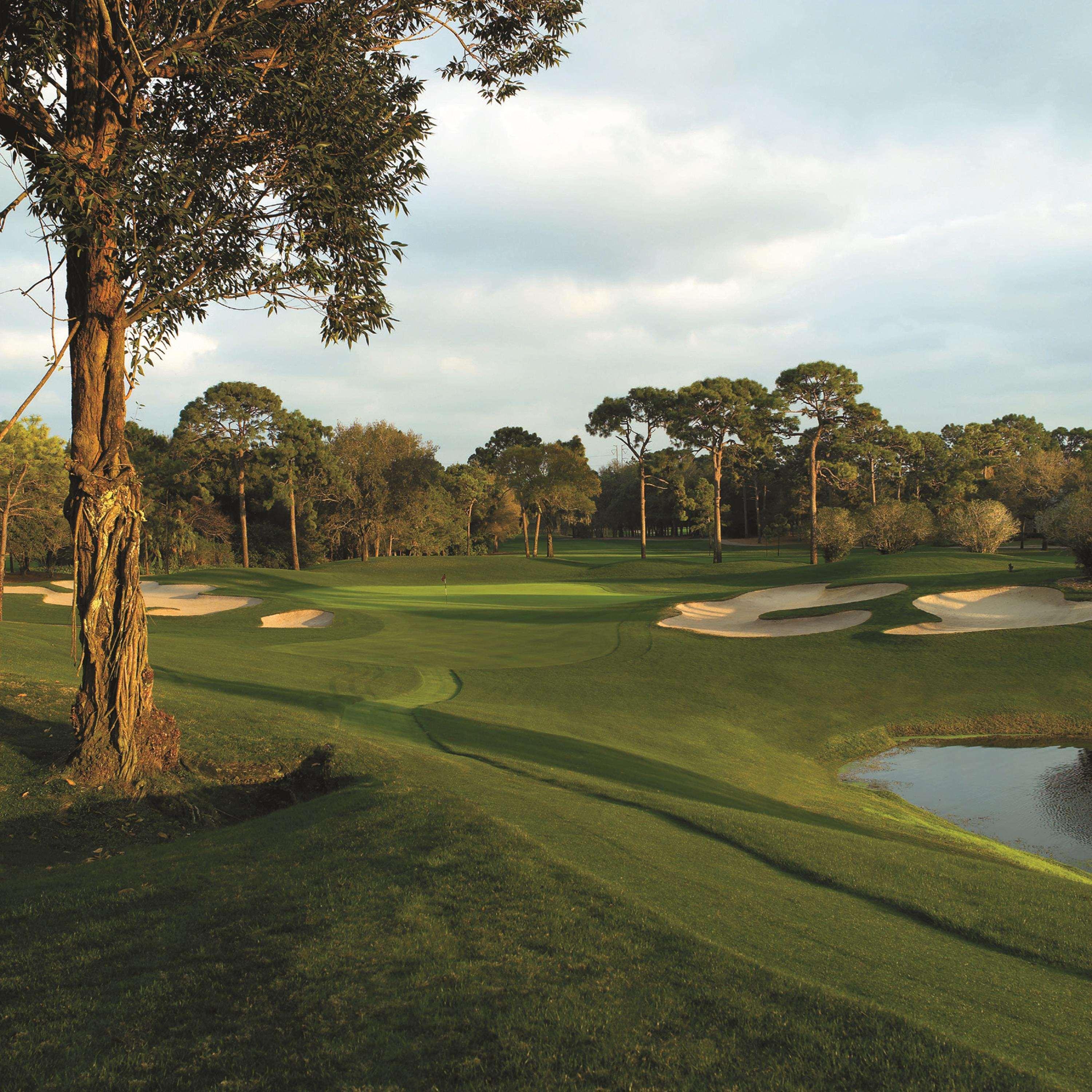 Resort Innisbrook Palm Harbor