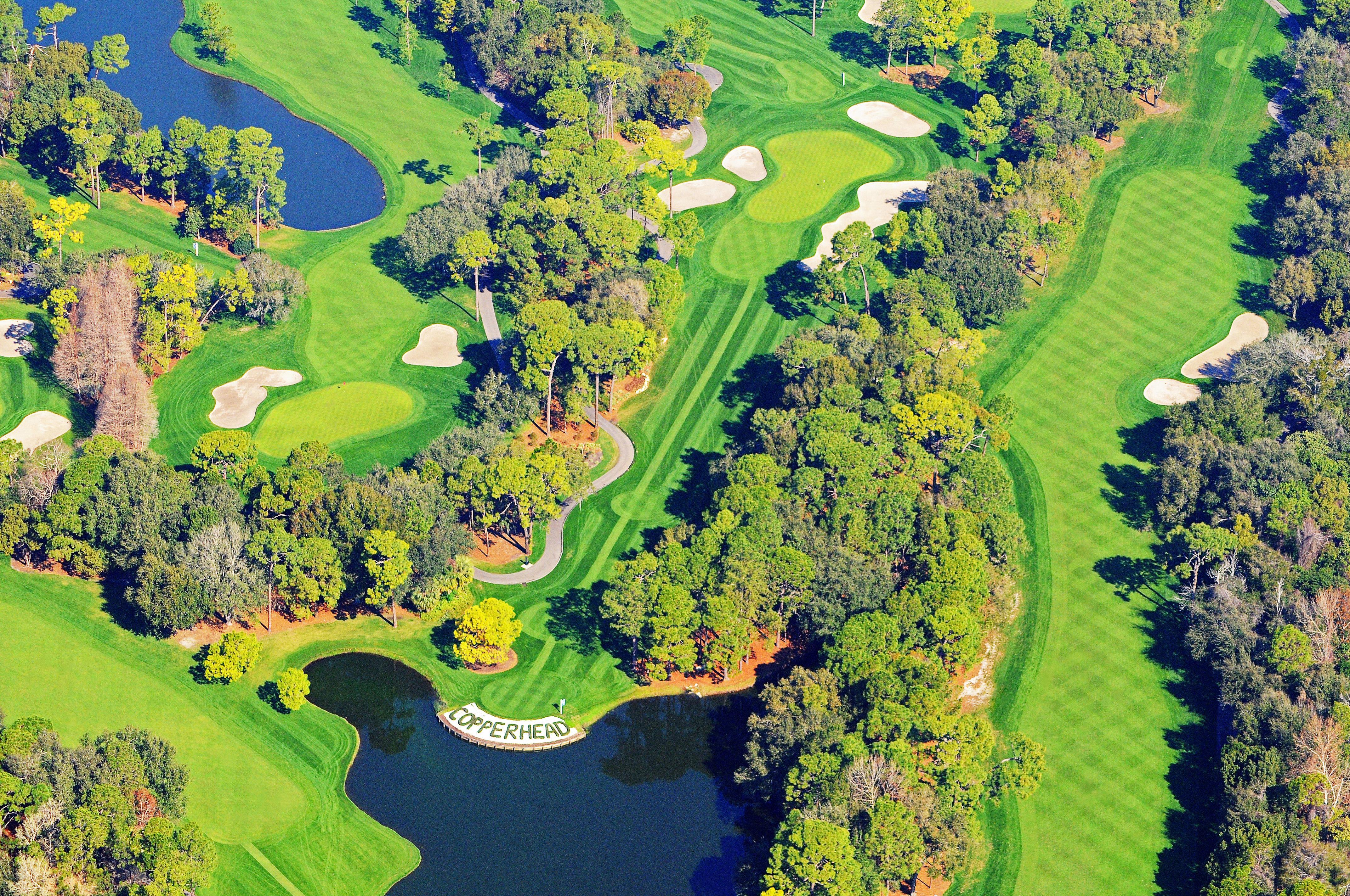 Innisbrook Resort Palm Harbor