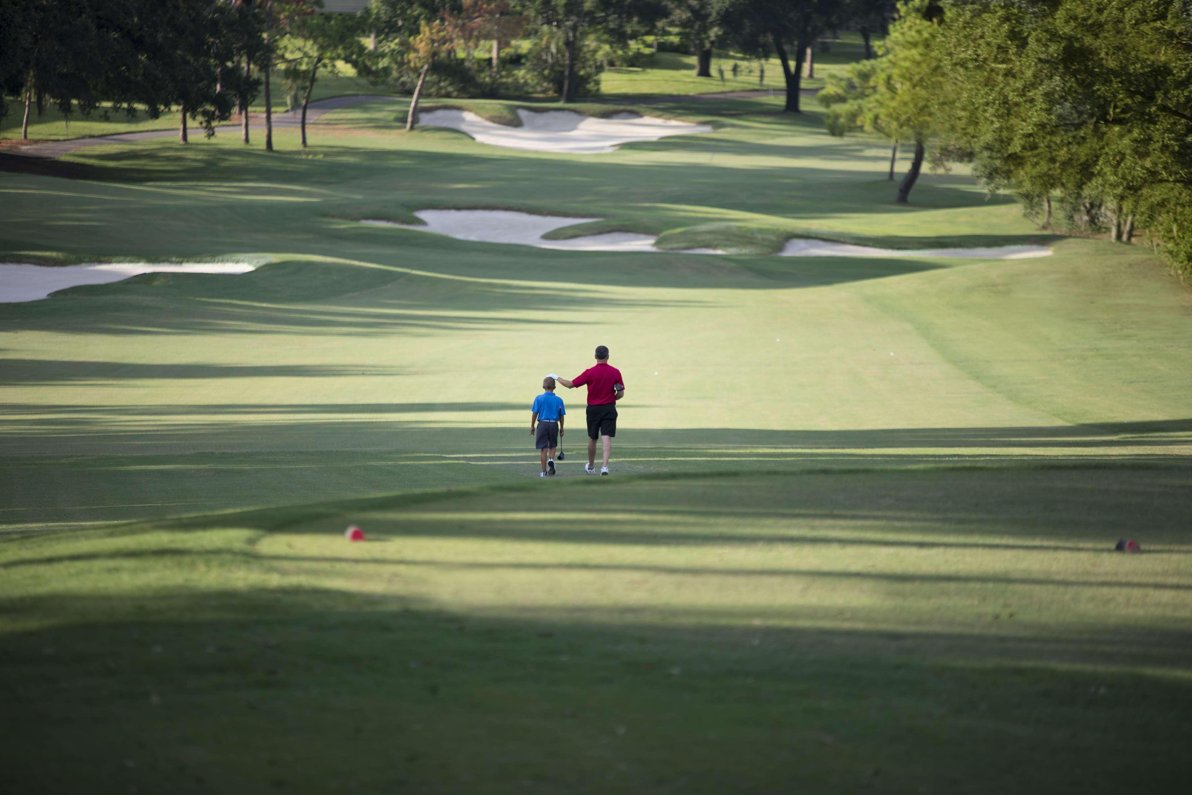 Innisbrook Palm Harbor