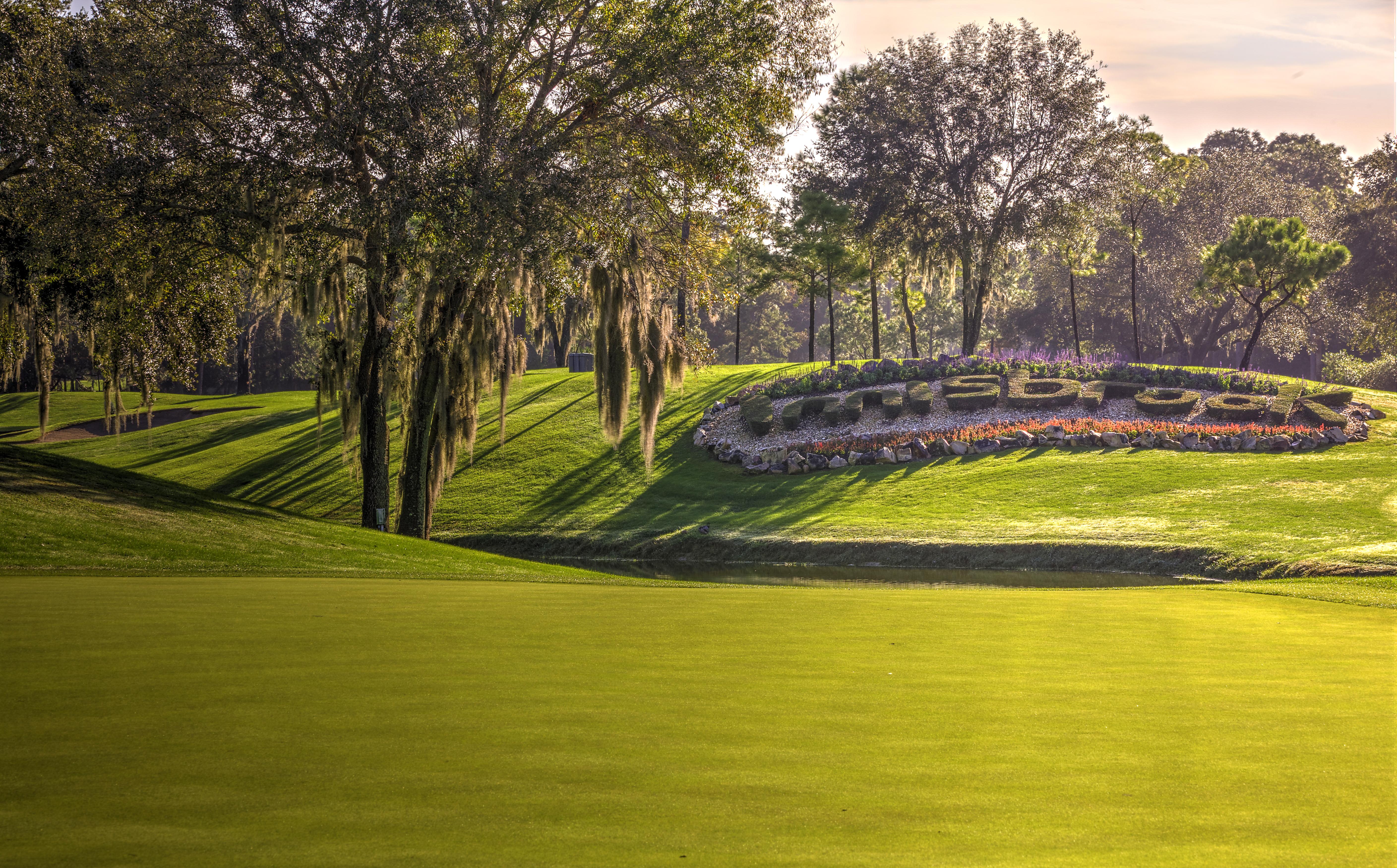 Resort Innisbrook Palm Harbor