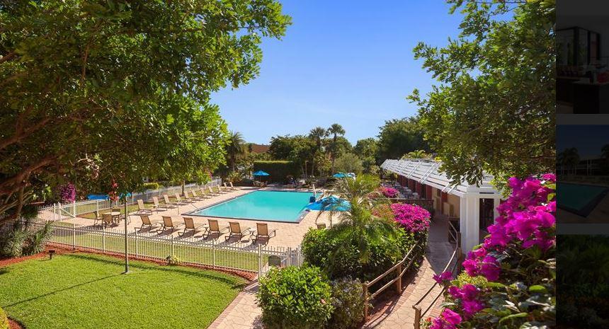Collins Hotel Naples