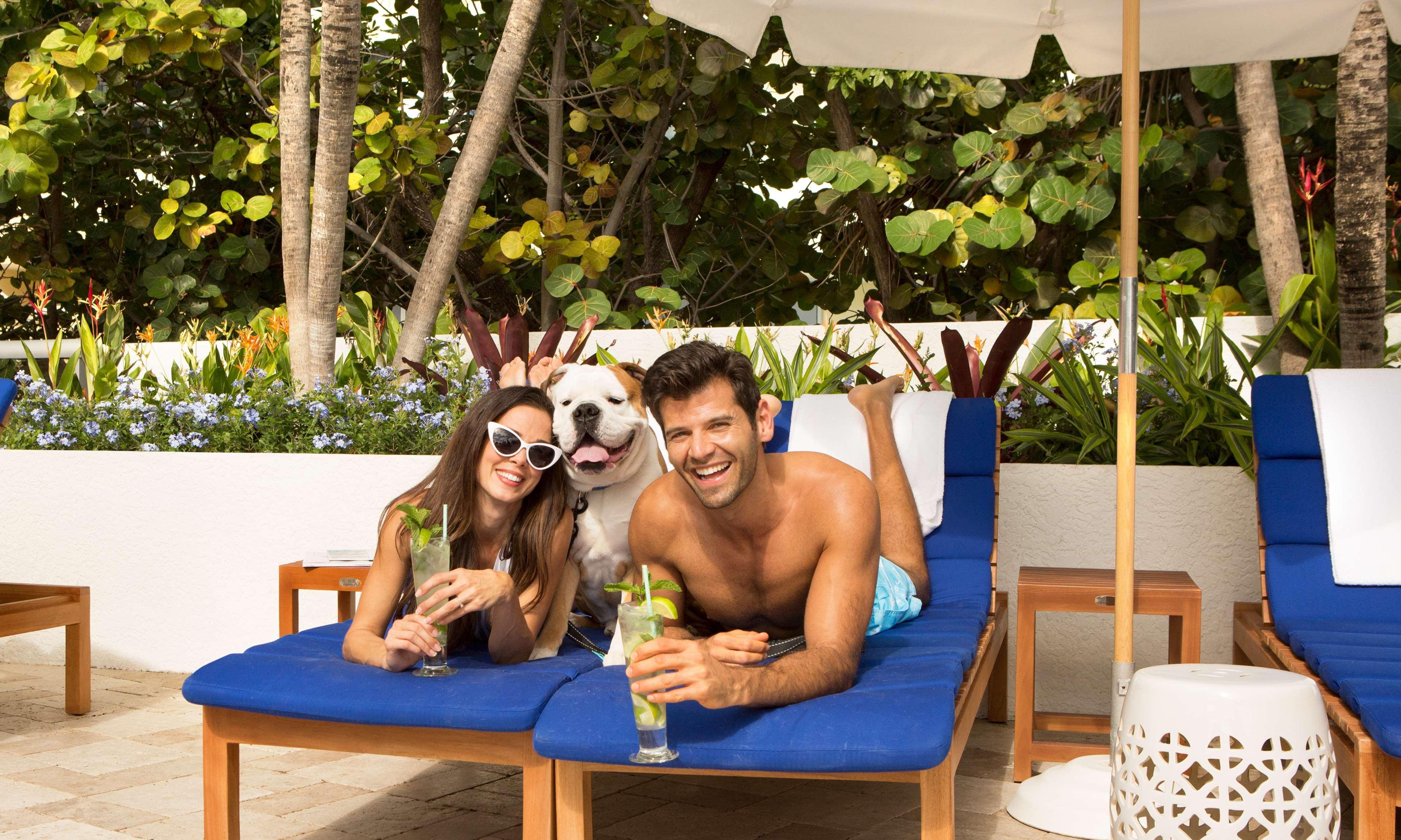 Hotel Sole Miami, A Noble House 4*