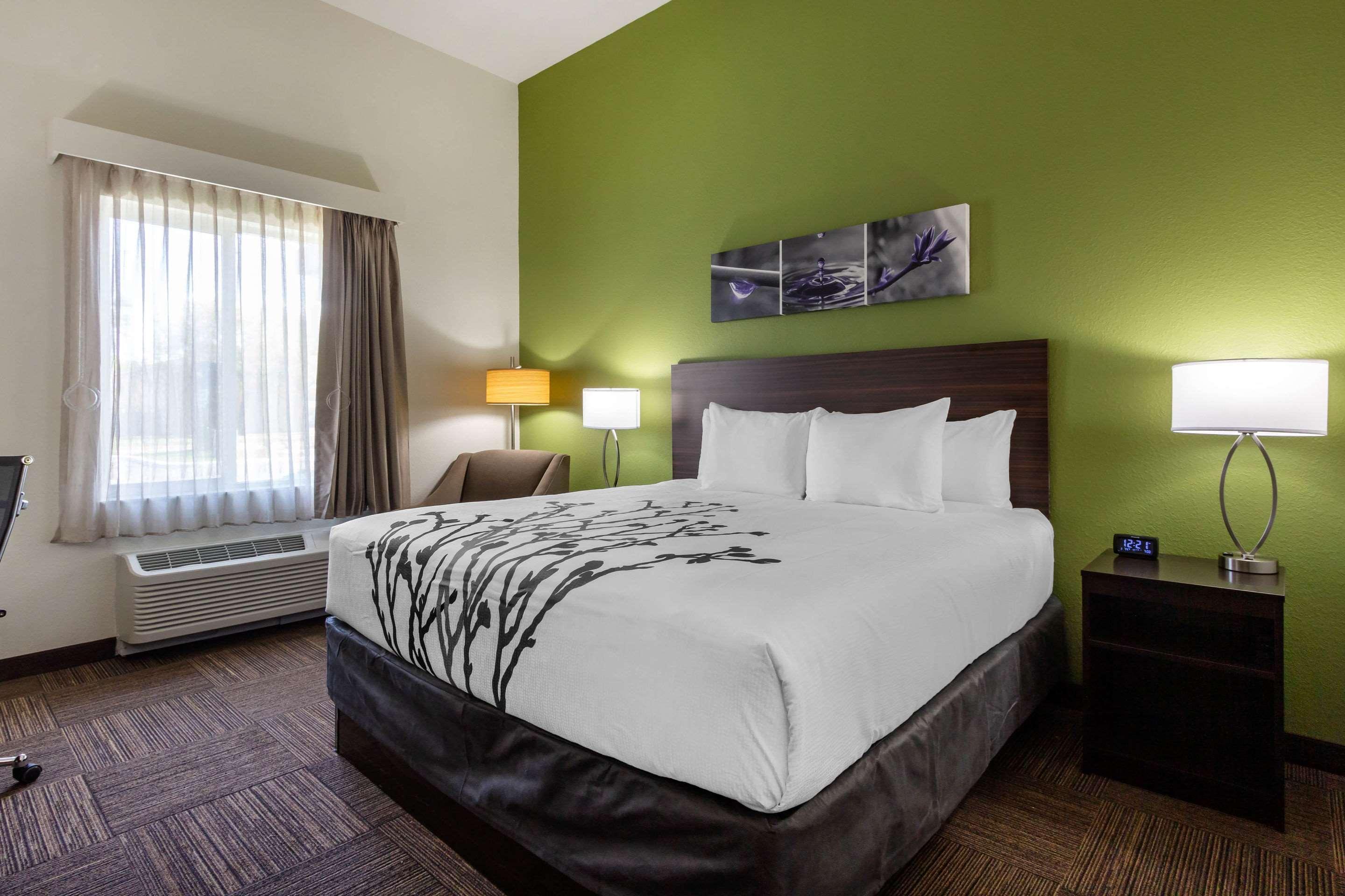 Sleep & South Hotel Tampa