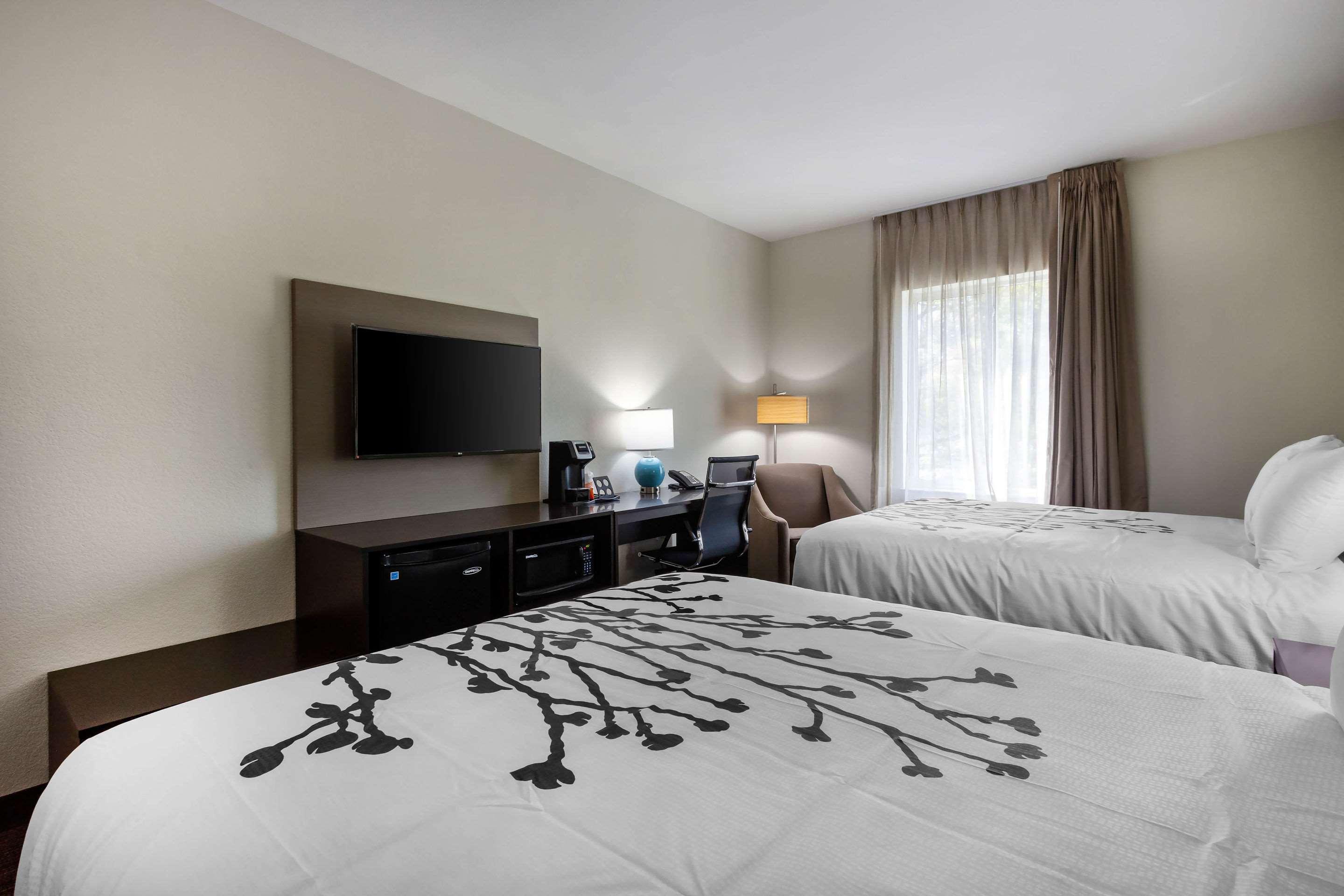 Sleep & South Tampa