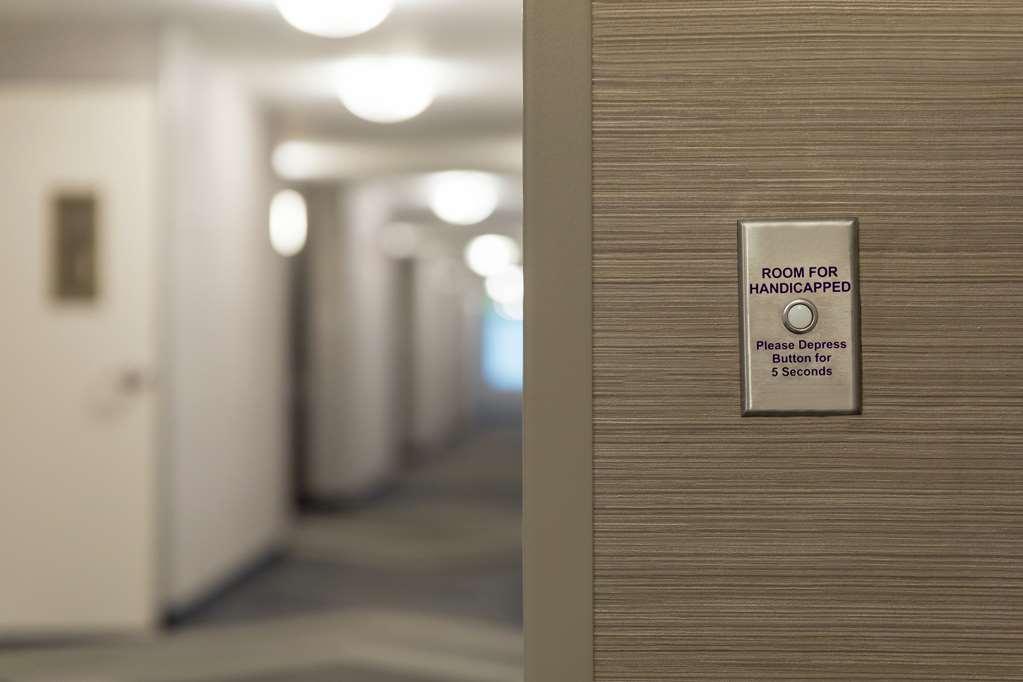 Hotel Hilton Garden East Brandon