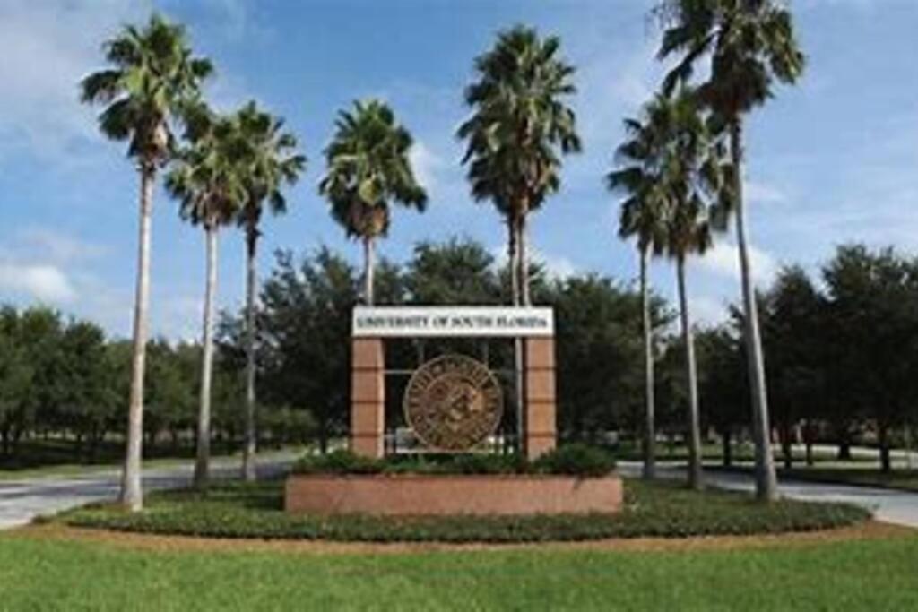 Entirehouse W/bush Garden View_private Heated Pool Tampa