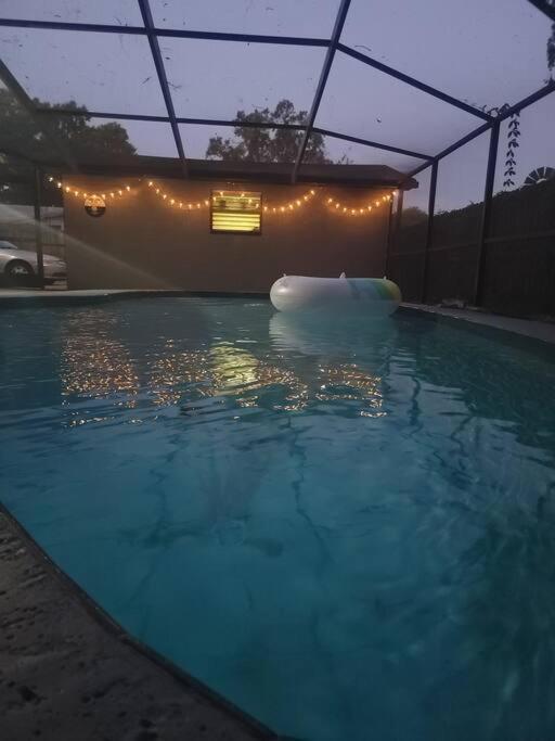 Entirehouse W/bush Garden View_private Heated Pool Tampa