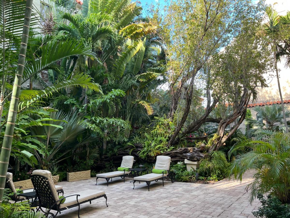 Apartment Blue Orchid Apartment-palm Beach-pool *