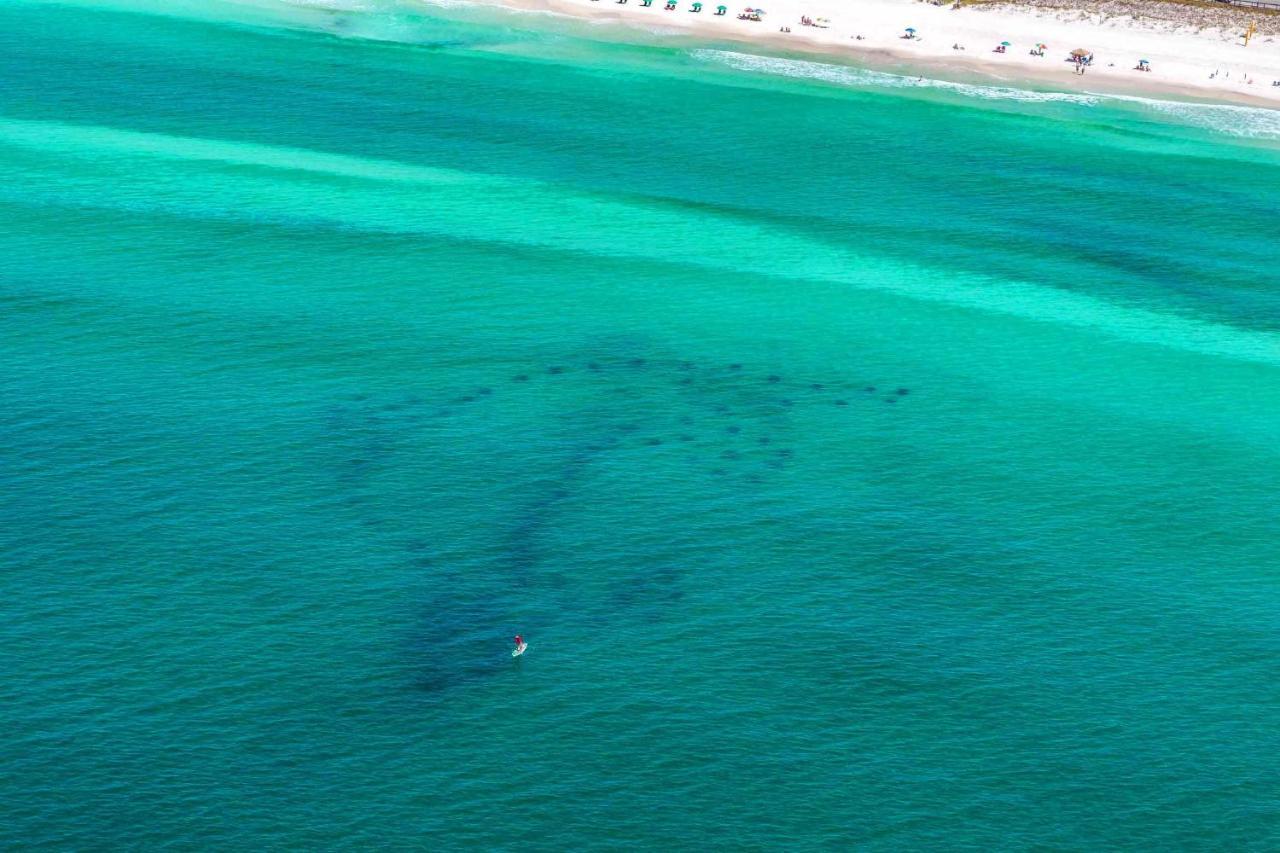 Sea Esta