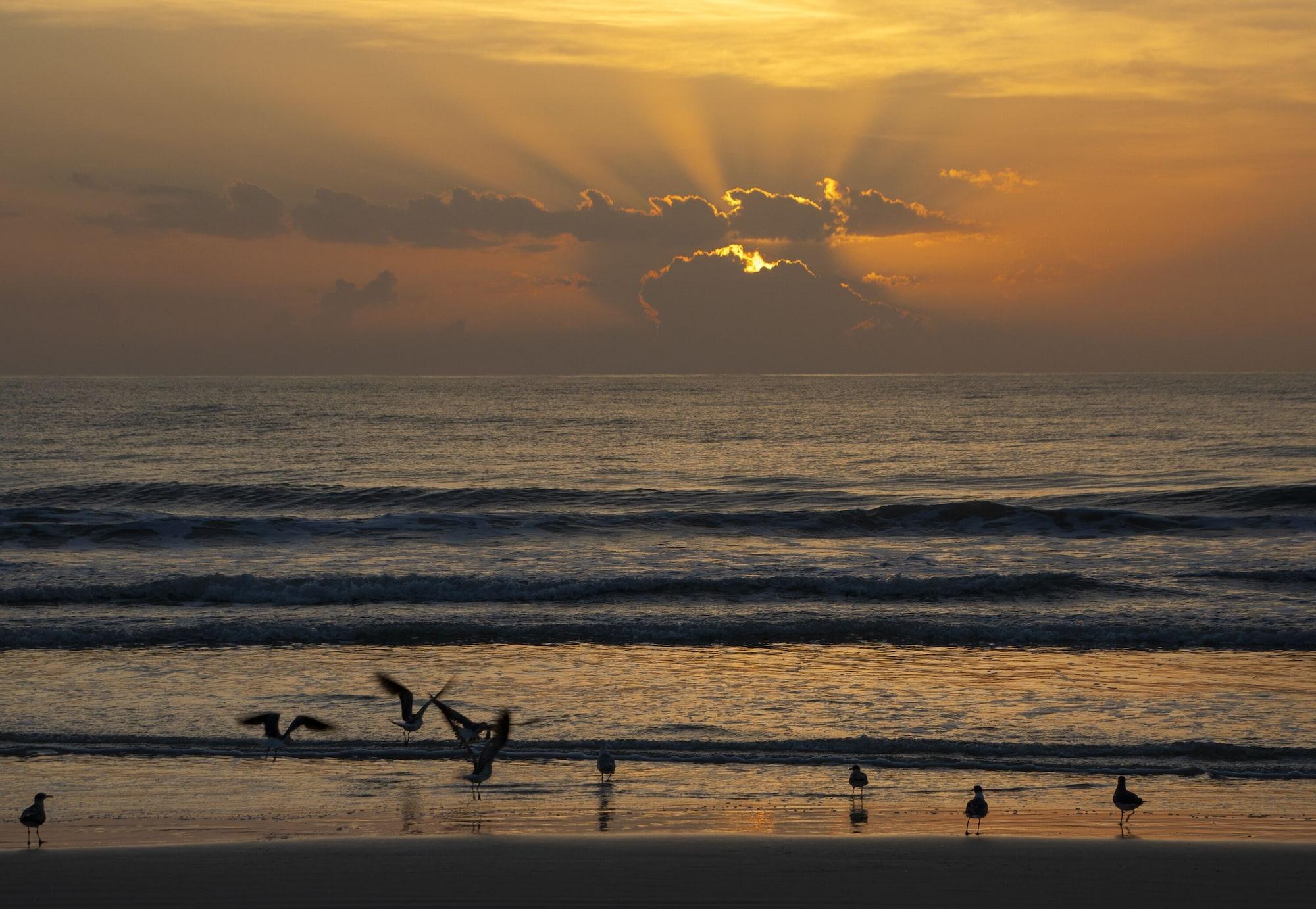 Resort Hilton Daytona (adults Only) 4*