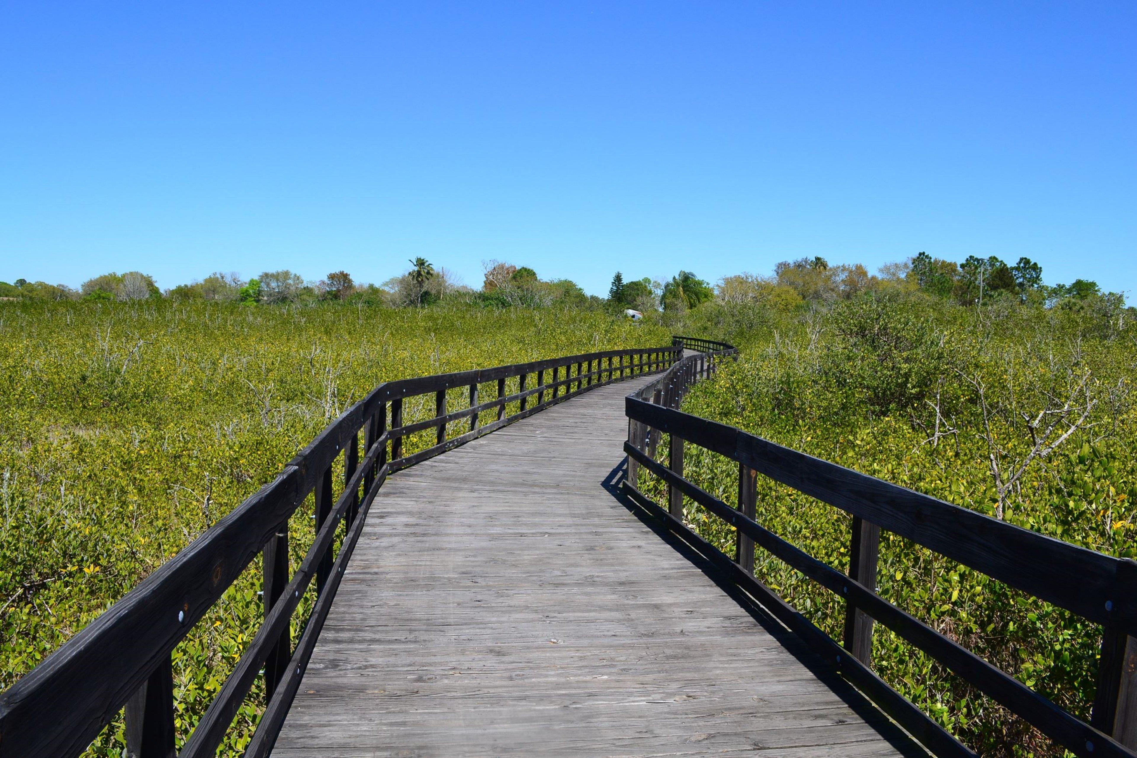Express & Tampa-oldsmar By Ihg Hotel Oldsmar