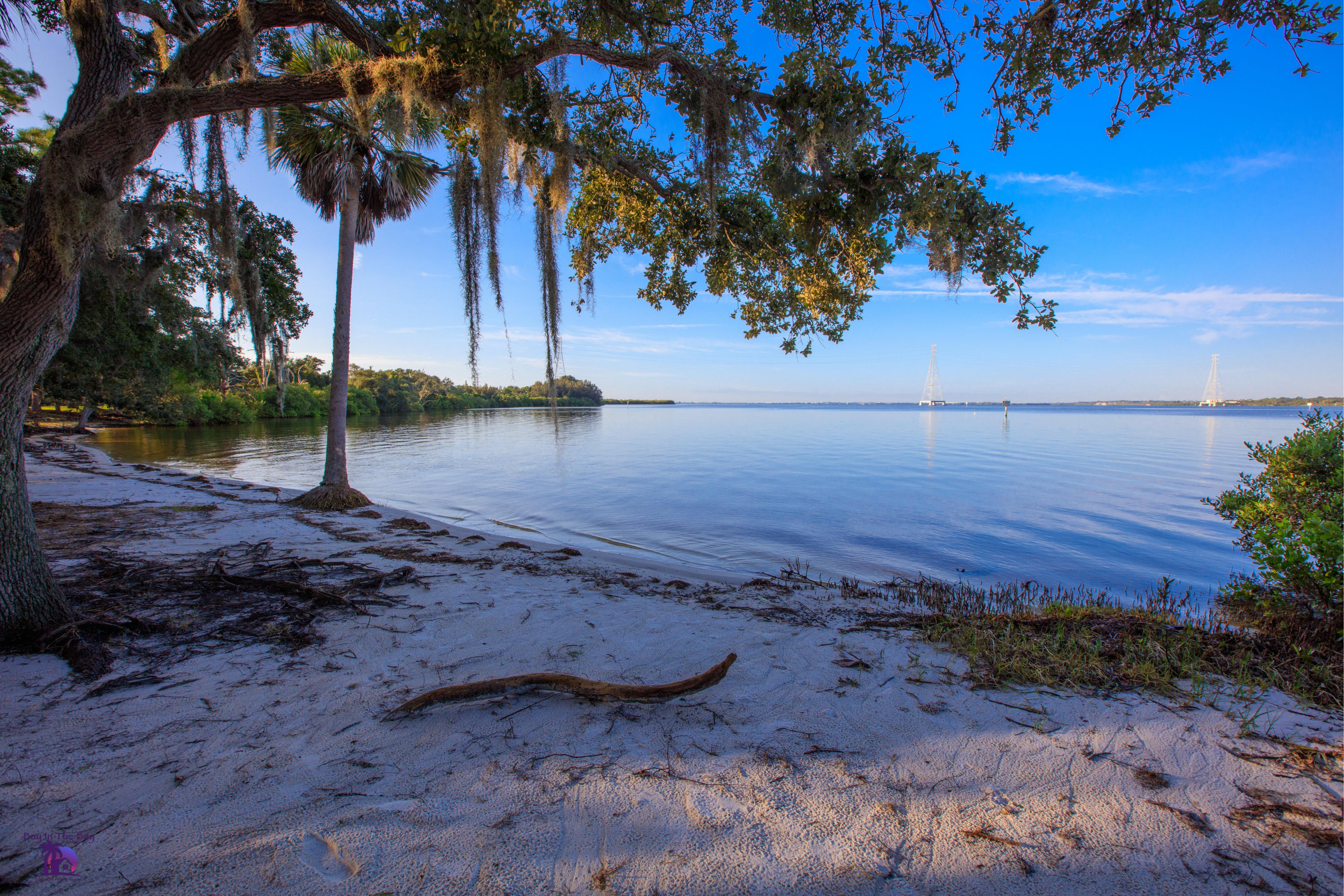 Express & Tampa-oldsmar By Ihg Hotel