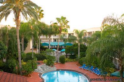 Baymont By Wyndham Near Busch Gardens Tampa