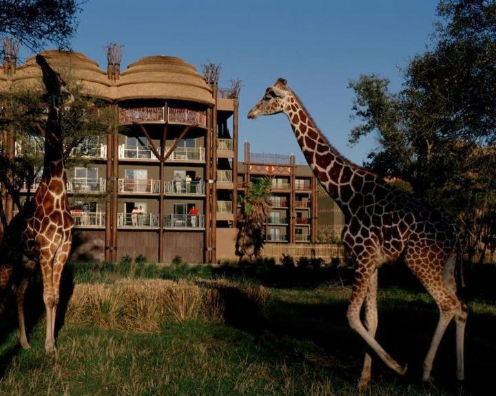 Disney's Animal Kingdom