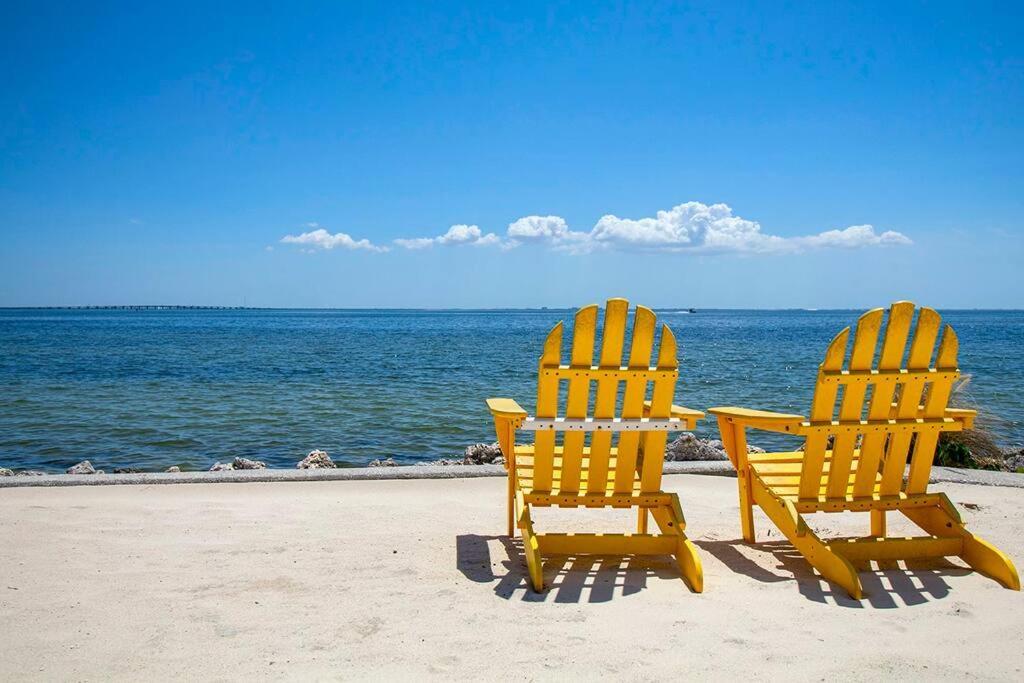 Peaceful Paradise Tampa