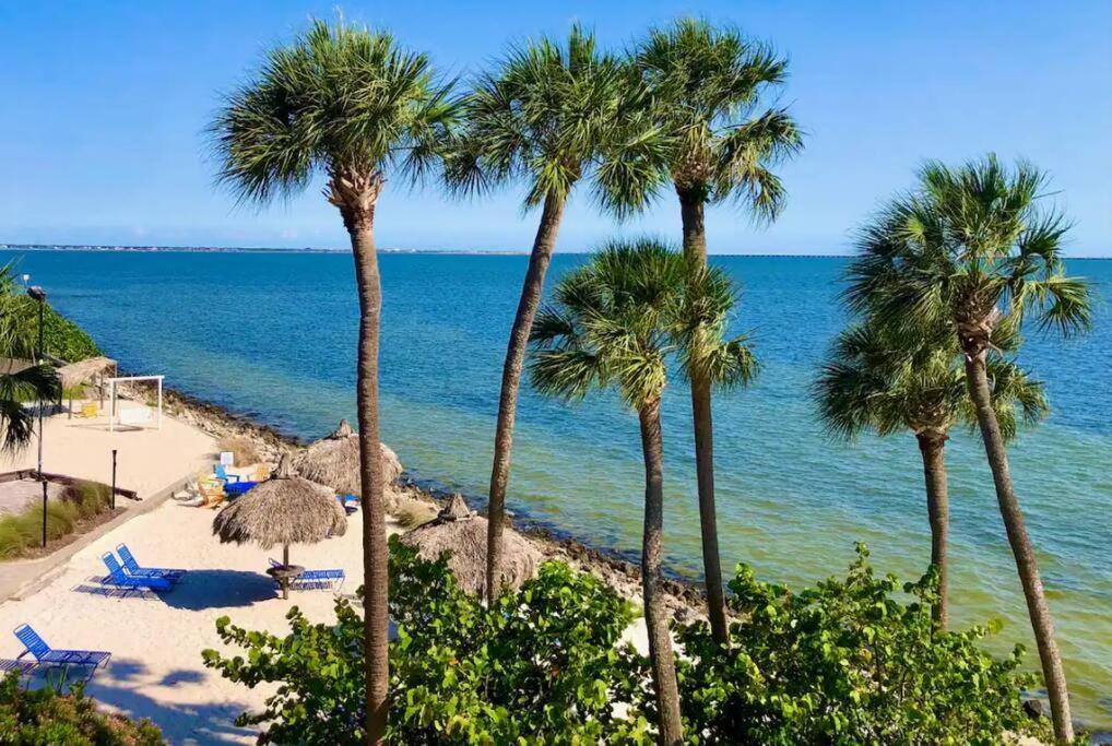 Peaceful Paradise * Tampa