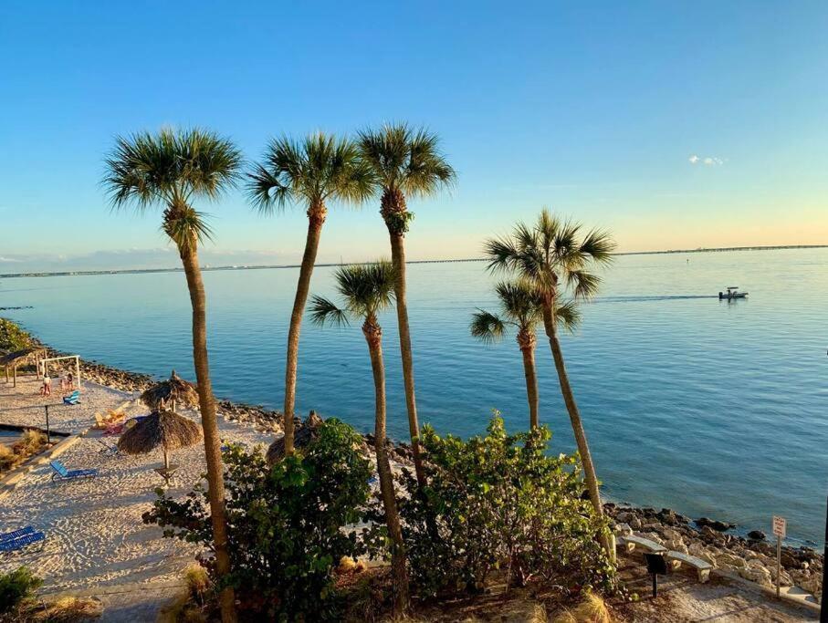 Peaceful Paradise * Tampa