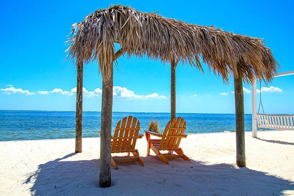 Peaceful Paradise Holiday home Tampa