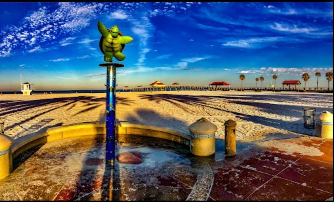 Coral D4 Clearwater Beach