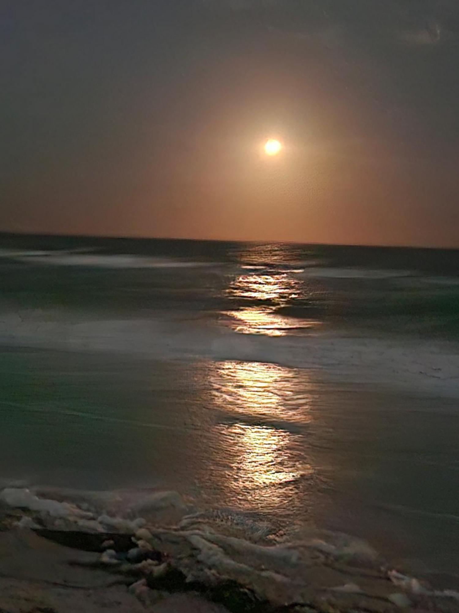 Coral D4 Clearwater Beach