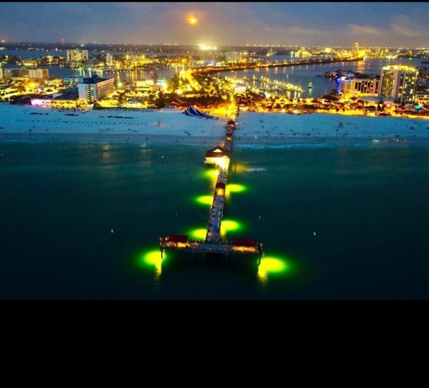 Coral D4 Clearwater Beach