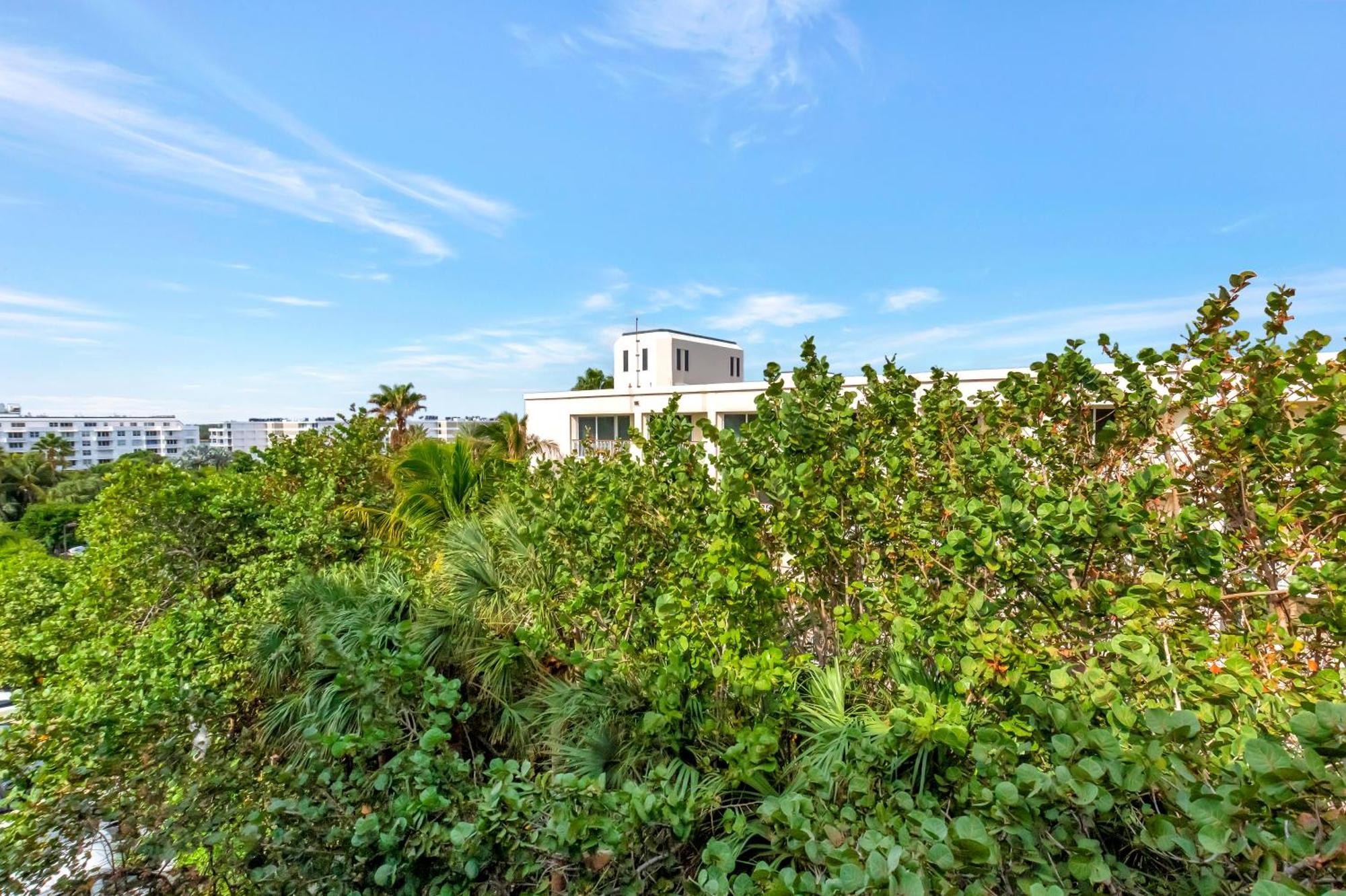 Resort Tideline Palm Ocean And