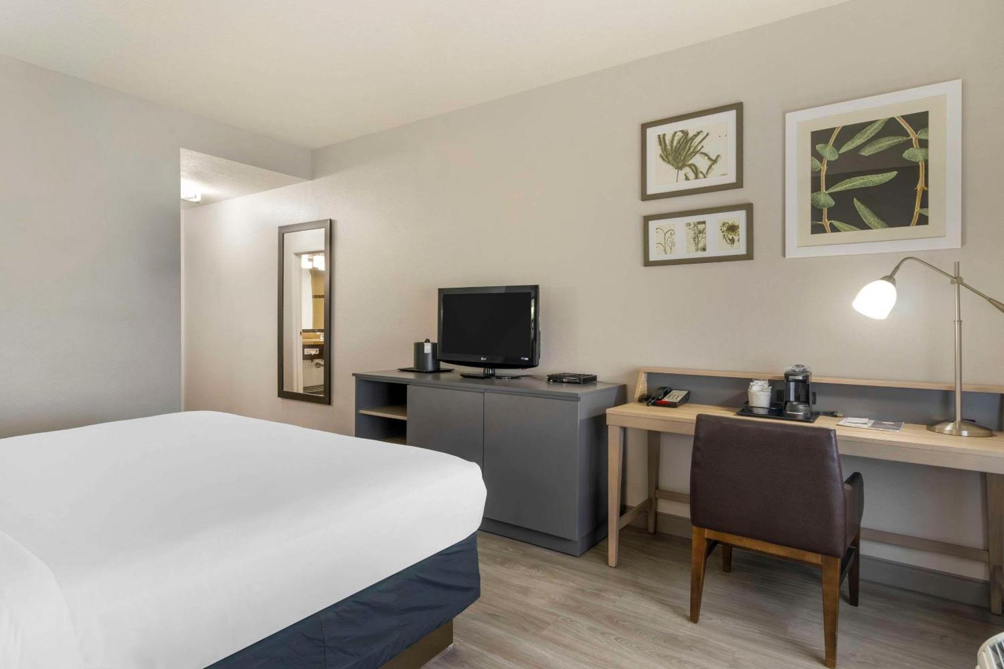 Country & By Radisson, Airport North, Fl Hotel Tampa