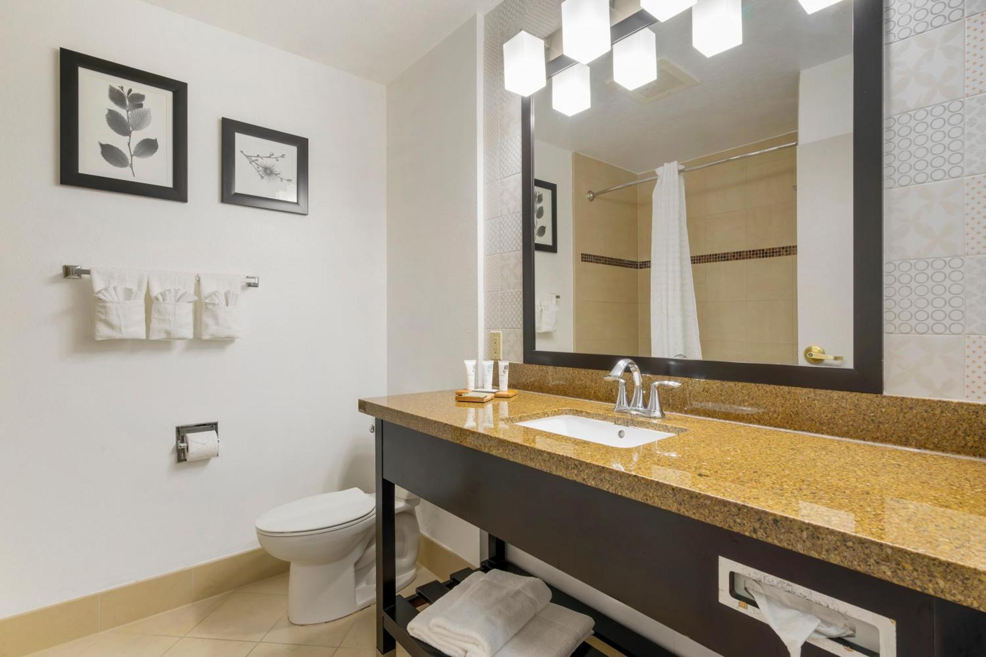 Country & By Radisson, Airport North, Fl Hotel Tampa
